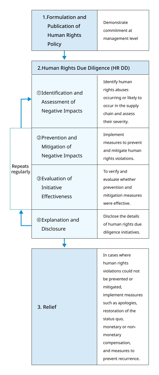 Diagram illustrating the process from developing the Human Rights Policy through human rights due diligence to remediation.