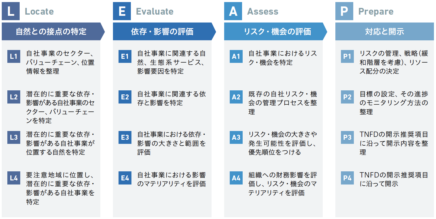 TNFDのLEAPアプローチ(Locate、Evaluate、Assess、Prepare)に沿った自然関連リスク・機会の評価と対応・開示のプロセスを示した図