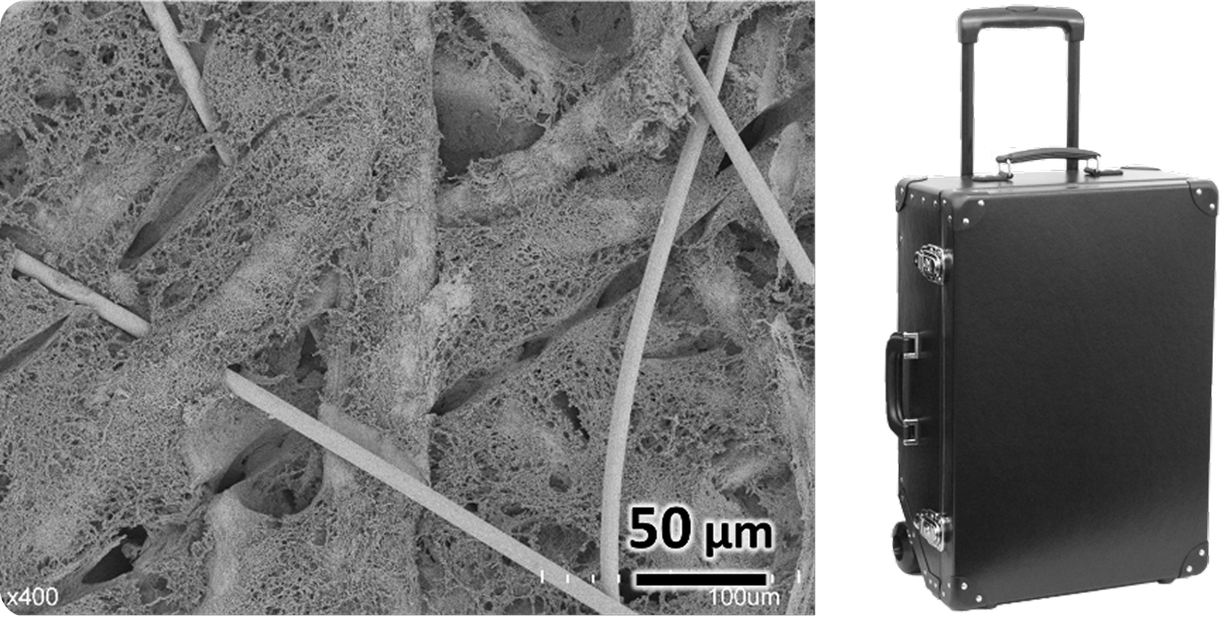 炭素繊維、CNF、セルロース繊維が複合化された材料の電子顕微鏡写真と、製品例のスーツケースの写真