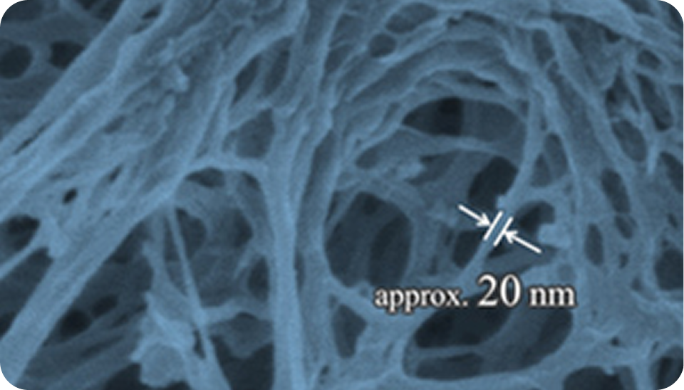 繊維の太さが約20nmであることを示す拡大画像