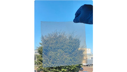 背景が透ける透明性と断熱性を有するCNF多孔体のシートを空中にかざしている写真