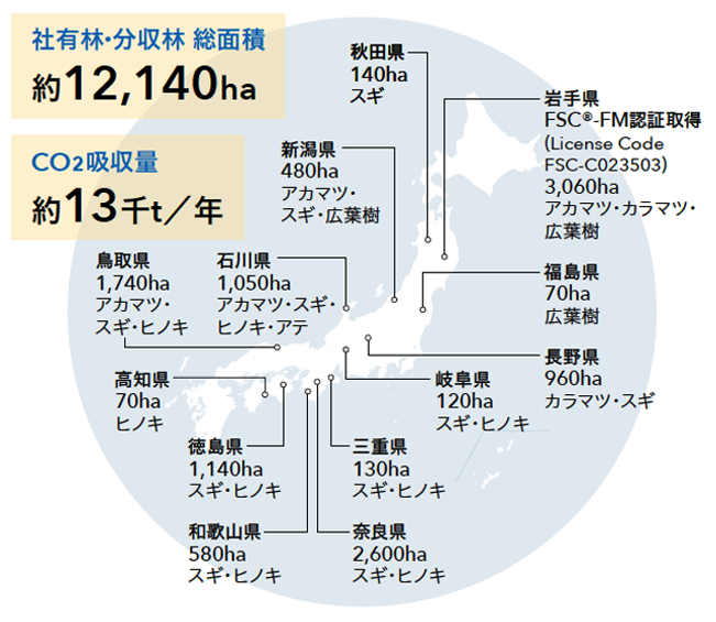 日本地図上に北越グループの社有林・分収林の所在地と面積を示した地図の画像。総面積は約12,140ヘクタール、年間CO2吸収量は約1万3千トンで、岩手県3,060ヘクタール、奈良県2,600ヘクタール、鳥取県1,740ヘクタールなど全国に森林を保有していることを示している。