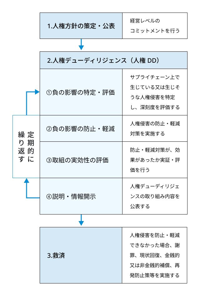 人権方針の策定から人権デューディリジェンスの実施、救済までのプロセスを示した図