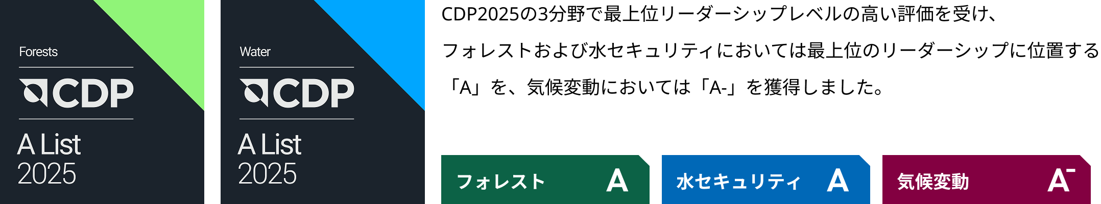 CDP2025の3分野で最上位リーダーシップレベルの高い評価を受け、フォレストおよび水セキュリティにおいては最上位のリーダーシップに位置する「A」を、気候変動においては「A-」を獲得しました。