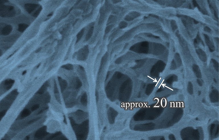 セルロースナノファイバーの顕微鏡拡大写真