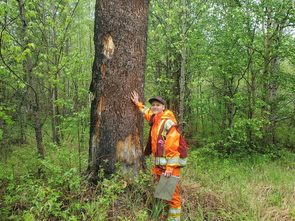 森林管理についての夏期学生プログラムの実施をした際の、現地の学生が笑顔で植林地の木の幹に手を置き立っている写真